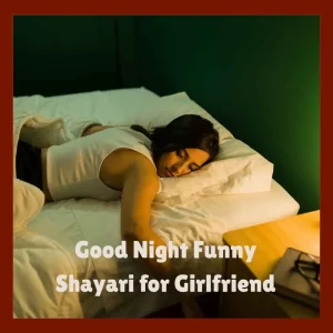 Good Night Funny Shayari for Girlfriend