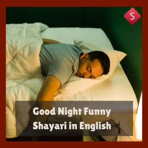 Good Night Funny Shayari in English