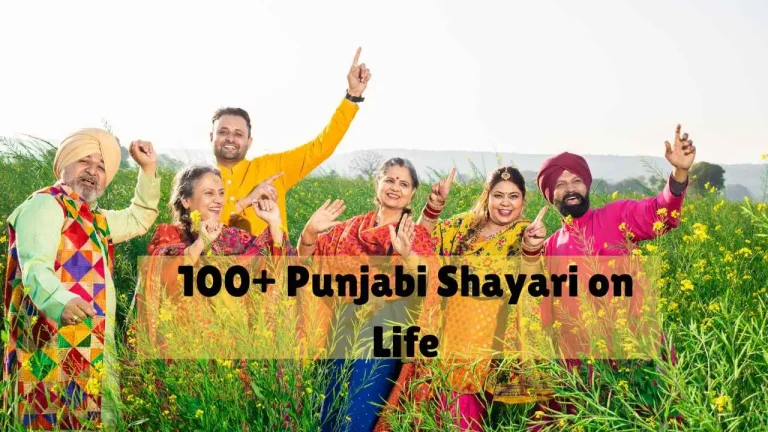 Punjabi Shayari on Life 