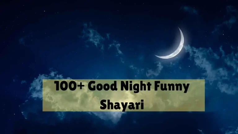 good night funny shayari