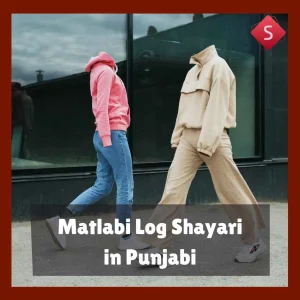 Matlabi Log Shayari in Punjabi