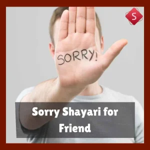 Sorry Shayari for Friend