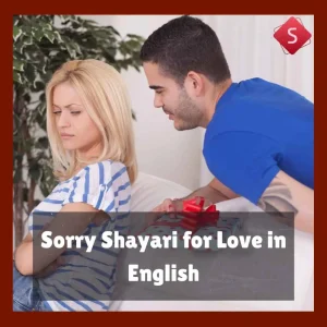 Sorry Shayari for Love in English
