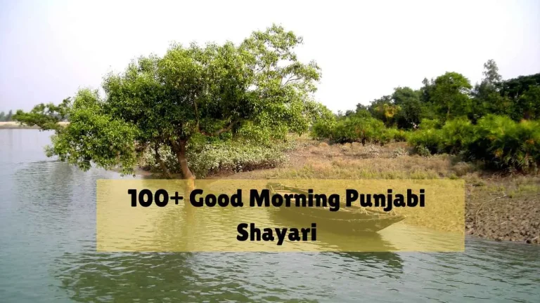 good morning punjabi shayari