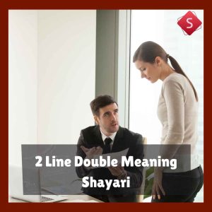 2 Line Double Meaning Shayari