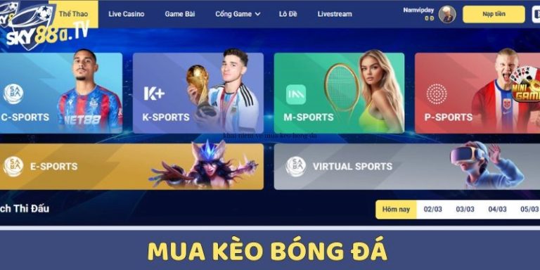 8xbetvn.net – Buying Football Odds: Concept, Types of Odds and How to Play