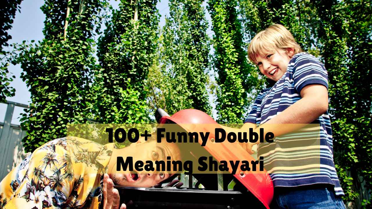 funny double meaning shayari​